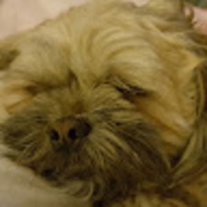 Meet your Posher, Advice